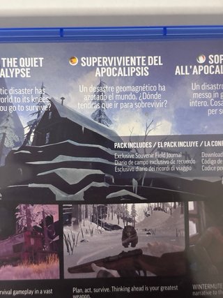 🇪🇸 The Long Dark PS4 (PlayStation 4)