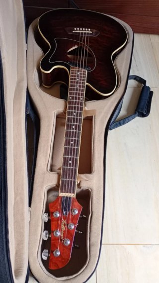 Guitarra Ibáñez TCM50 con funda