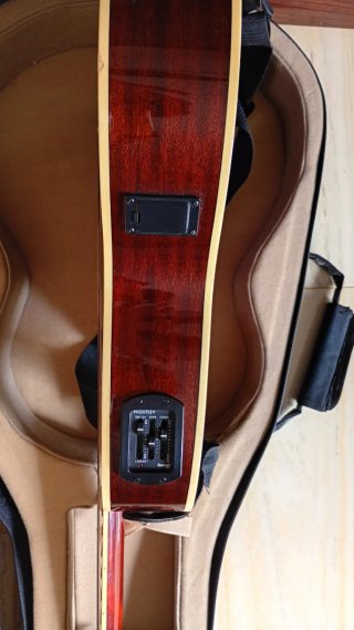 Guitarra Ibáñez TCM50 con funda