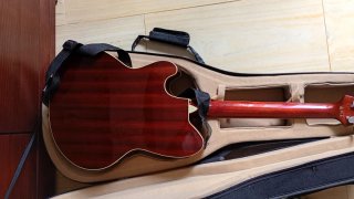 Guitarra Ibáñez TCM50 con funda