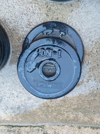 Discos de pesas variados