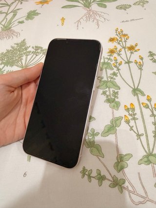 iPhone 13 Rosa 128 GB