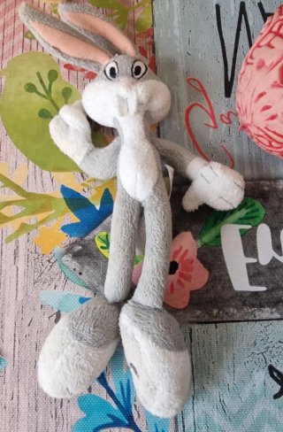Lotto Peluche e Giochi per Animali (Usati)