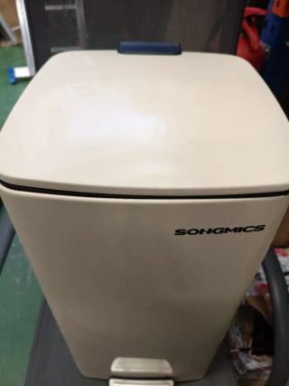 SONGMICS Cubo de Basura de 30 L Acero Inoxidable