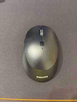 Ratón inalámbrico Philips SPK7607 negro USB