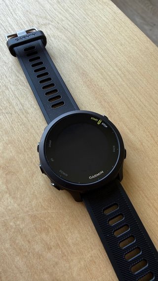 Garmin Forerunner 55 GPS Running Watch