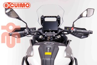 MORBIDELLI T1002 VX