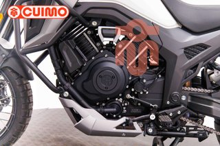 MORBIDELLI T1002 VX