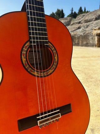 OPORTUNIDAD Guitarra Flamenca Sanchis 1F Extra