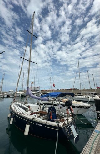 Drac One Tonner 34 Vela