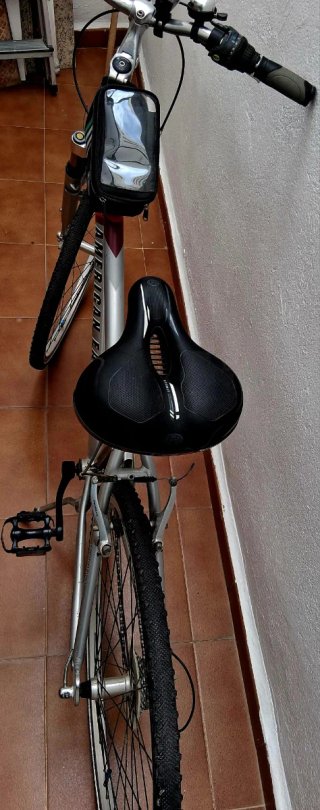 Bicicleta American Eagle Lightning