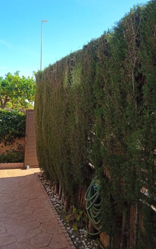 Jardinero