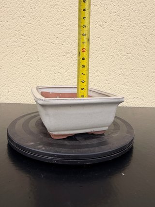 Maceta bonsai cerámica blanca