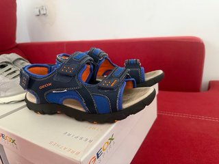 Zapatillas y sandalias Geox 36