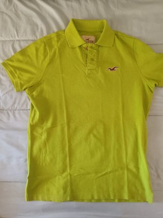 Polo Hollister