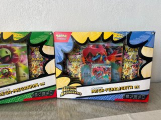 Caja Mega Feraligatr/Meganium EX Héroes Ascendente