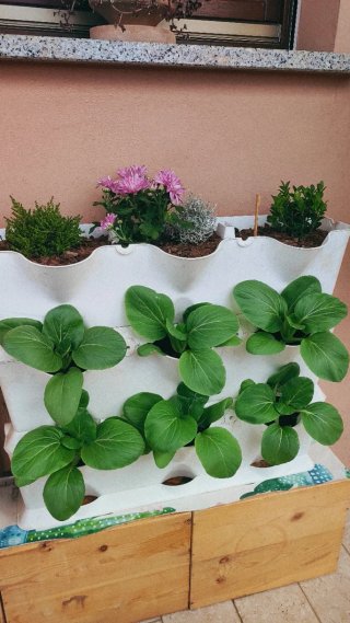 Vasi Giardino Verticale Salvaspazio