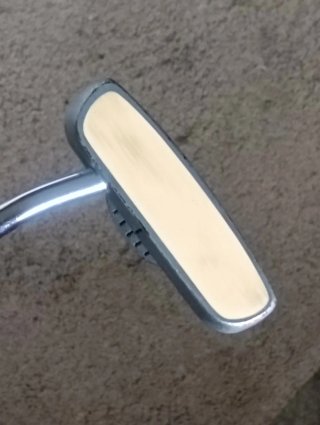 Palo de Golf Scott Equipe
