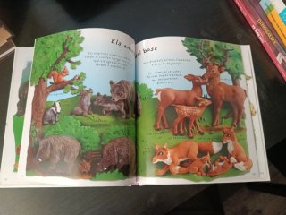 Llibre Infantil Paraules dels Animals