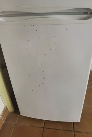 Nevera Frigorífico combi Indesit