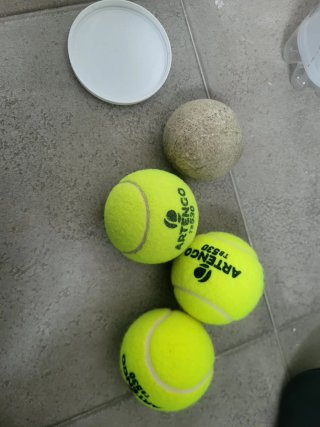 Raqueta Tenis Artengo TB 530 + Funda