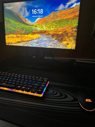 PC GAMING Y MONITOR
