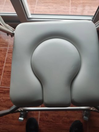 Silla para inodoro y ducha