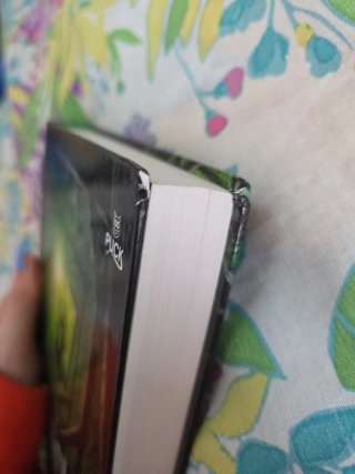 Libro Túneles