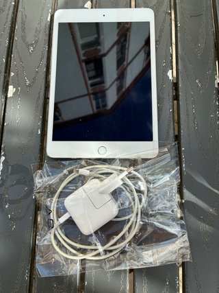 iPad Mini 4 Plata + Cargador