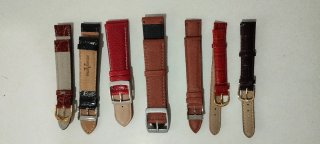 Conjunto de Correas de reloj Paul Versan.