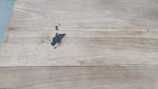 Tavolo da salotto in legno massello