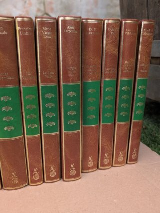 Colección completa libros clásicos Planeta (1985)