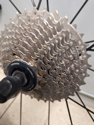 Rueda Trasera Mavic Cosmic UST