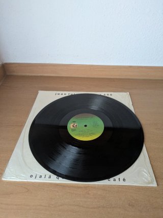 Vinilos de Juan Luis Guerra