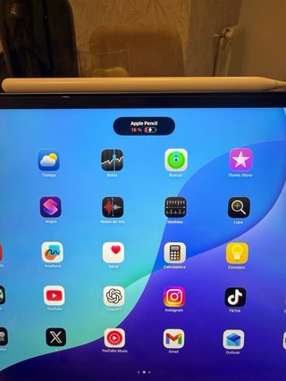 iPad Pro M1 12.9 256GB Plata