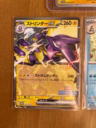 Pokemon Pikachu Feraligatr Toxtricity Illustration