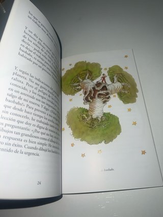 El Principito / The Little Prince