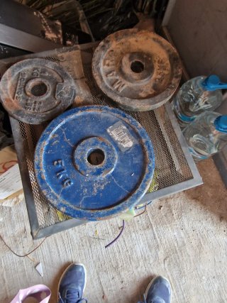 Pesas de gimnasio (varios tamaños)