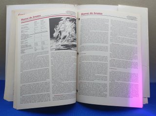 MANUAL ADVANCED DUNGEONS & DRAGONS 2°VERSION TSP