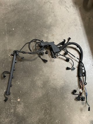 Cableado Motor BMW E46 330ci