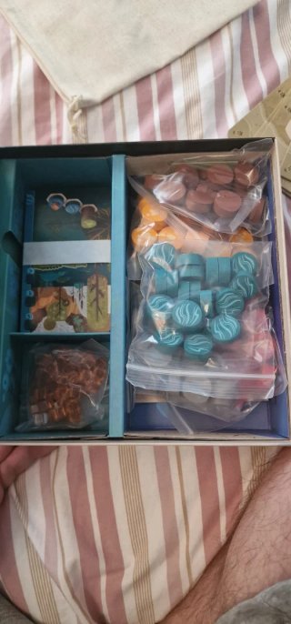 Juego de mesa Harmonies de Libellud