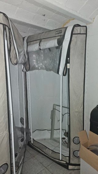 Carpa de cultivo Homebox