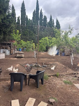 Se alquila campo