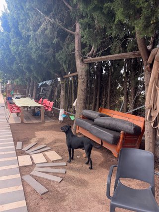 Se alquila campo