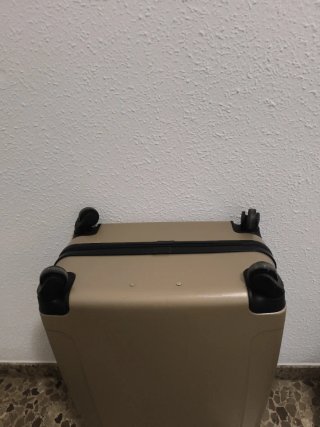 Maleta de viaje beige