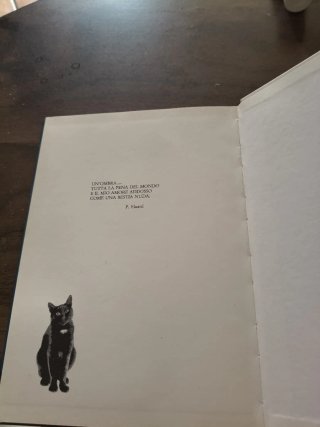 Poesie sui gatti neri