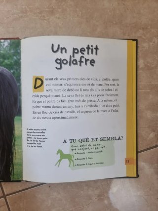 El poltre