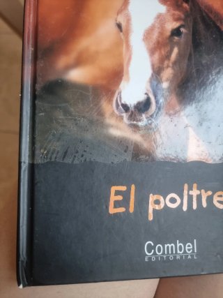 El poltre