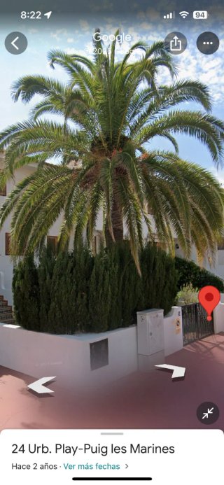 PODADOR DE PALMERAS