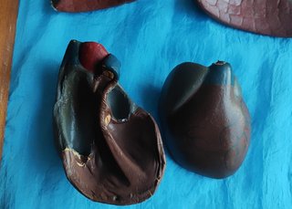 Modelo Anatómico Vintage: Pulmones y Corazón